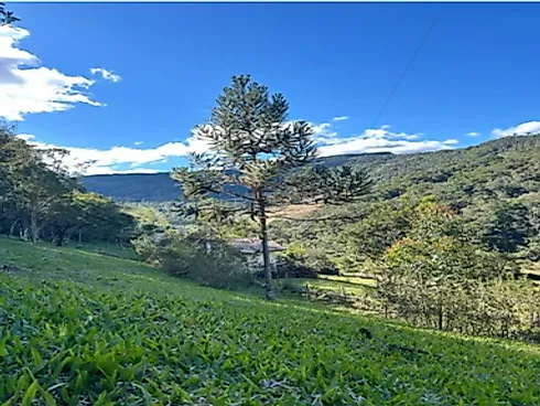 Sitio em Anitápolis - Sítio, Anitápolis - Foto 5
