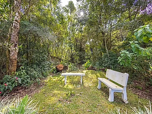 Casa em Condomínio 3 Quartos com 3 Suítes e 186m² - Cachoeira - Foto 100