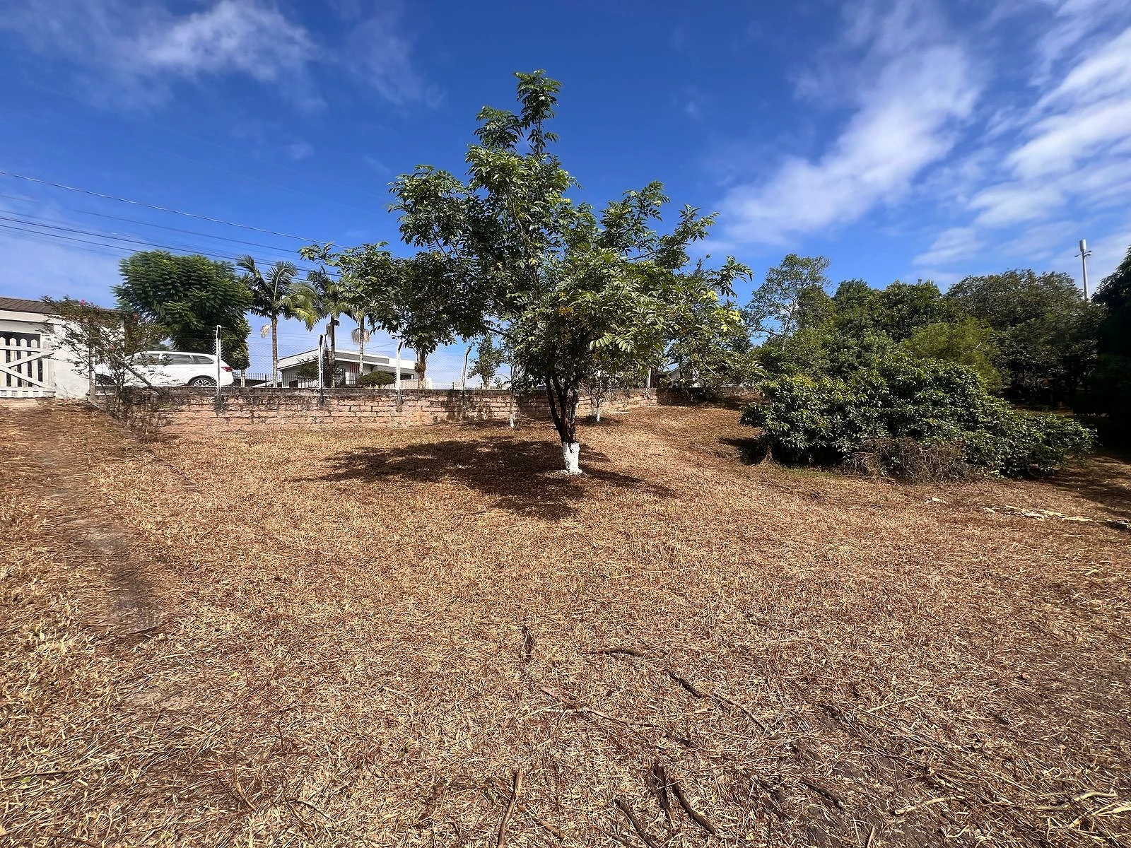 Terreno em Vila Floresta, Criciúma