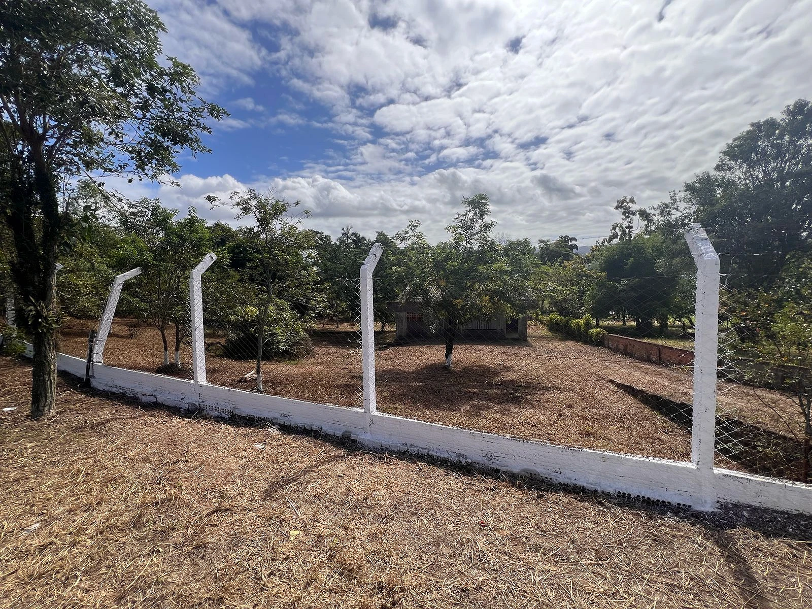 Terreno em Vila Floresta, Criciúma