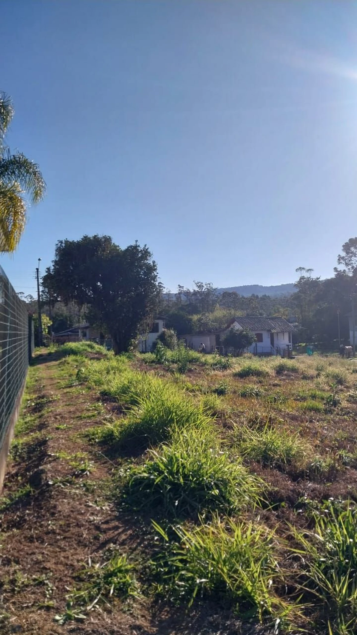 Terreno em Laranjinha, Criciúma