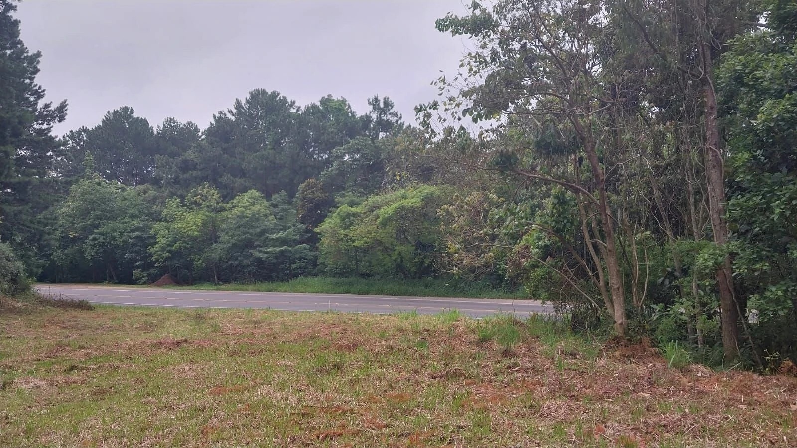 Terreno em São Simão, Criciúma