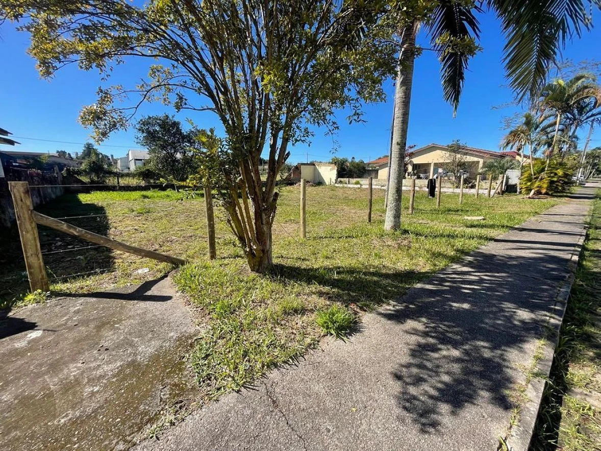 Terreno em Jardim Angélica, Criciúma