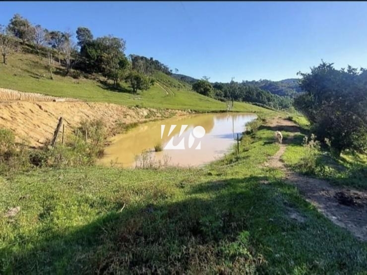Sítio em Bela Vista, Leoberto Leal. 3 quartos, 92000m². Imagem 11 de 13
