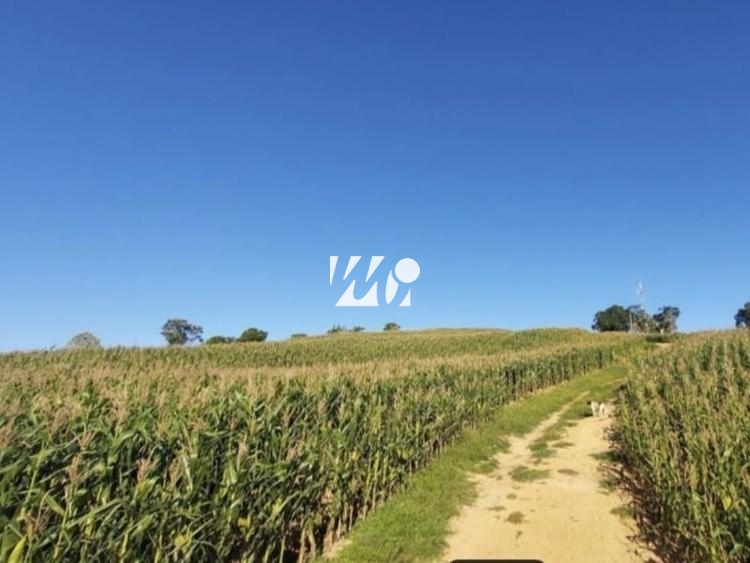 Sítio em Bela Vista, Leoberto Leal. 3 quartos, 92000m². Imagem 12 de 13