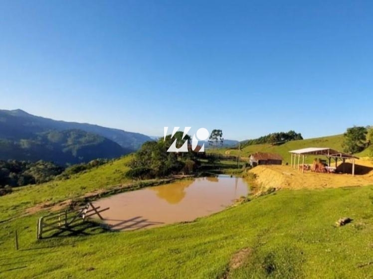 Sítio em Bela Vista, Leoberto Leal. 3 quartos, 92000m². Imagem 5 de 13