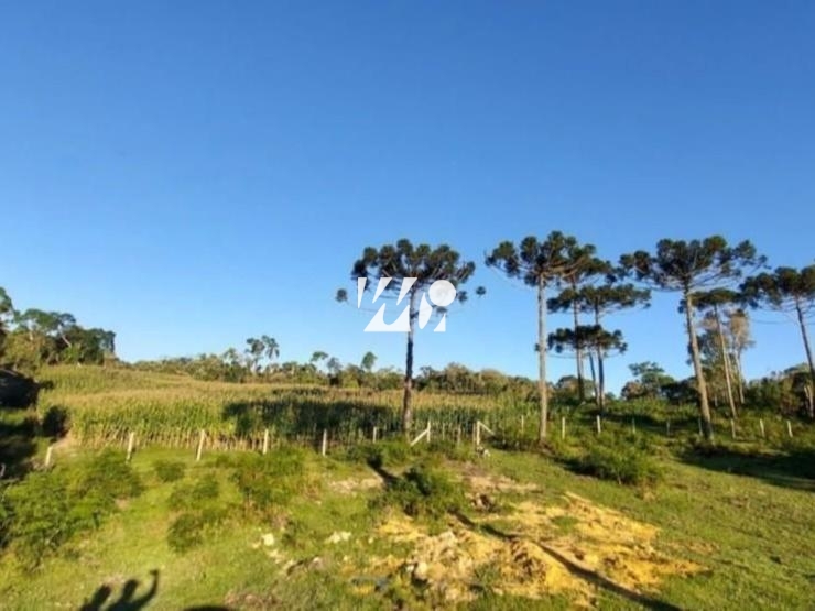 Sítio em Bela Vista, Leoberto Leal. 3 quartos, 92000m². Imagem 6 de 13