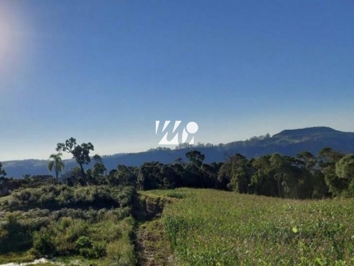 Sítio em Bela Vista, Leoberto Leal. 3 quartos, 92000m². Imagem 7 de 13