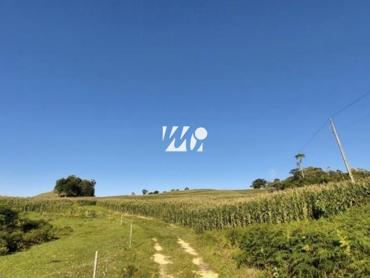 Sítio em Bela Vista, Leoberto Leal. 3 quartos, 92000m². Imagem 8 de 13