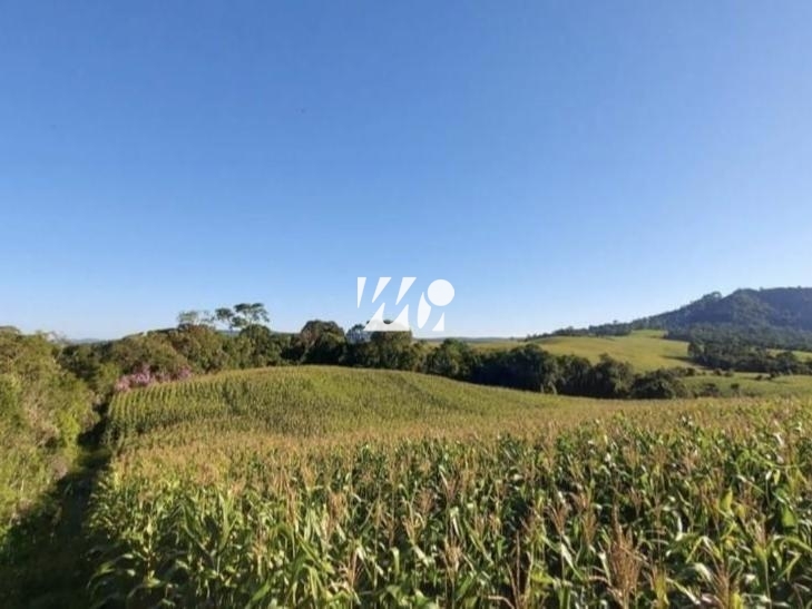 Sítio em Bela Vista, Leoberto Leal. 3 quartos, 92000m². Imagem 9 de 13