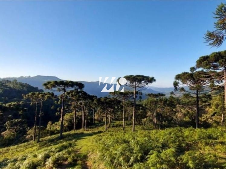 Sítio em Bela Vista, Leoberto Leal. 3 quartos, 92000m². Imagem 13 de 13