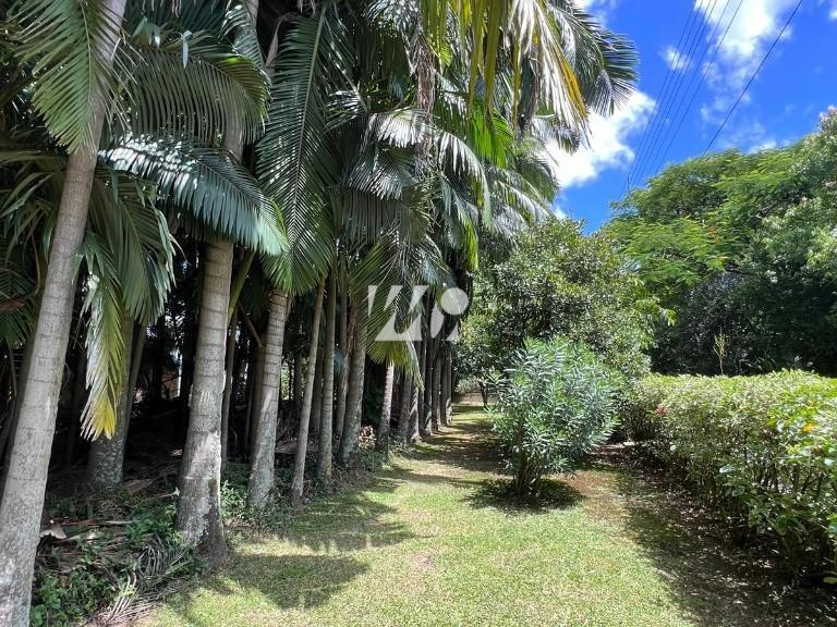 Sítio em Guarda do Cubatão, Palhoça. 3 quartos, 9619m². Imagem 14 de 15