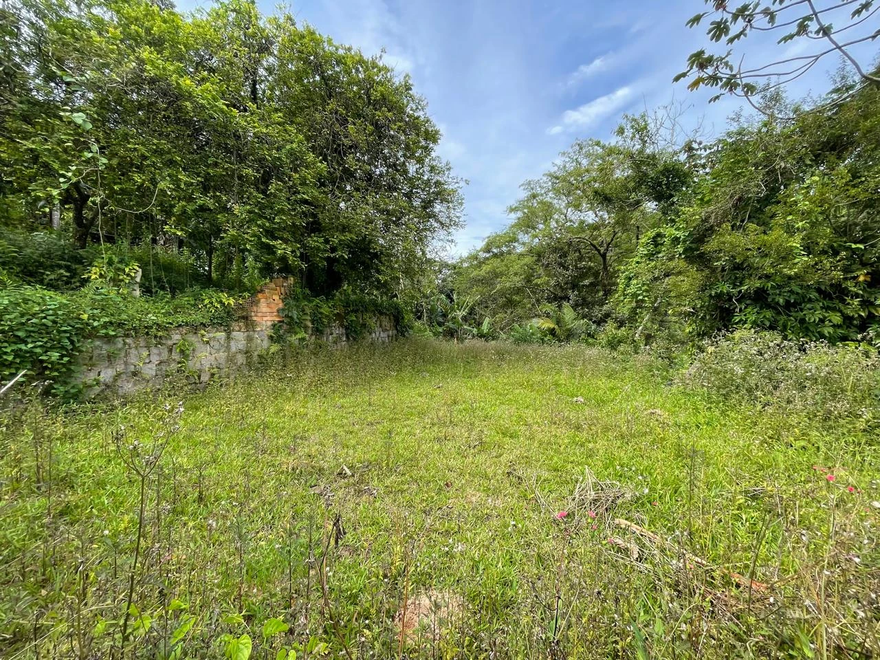 Terreno em Centro, Santo Amaro da Imperatriz. 0 quartos, 0m². Imagem 1 de 2