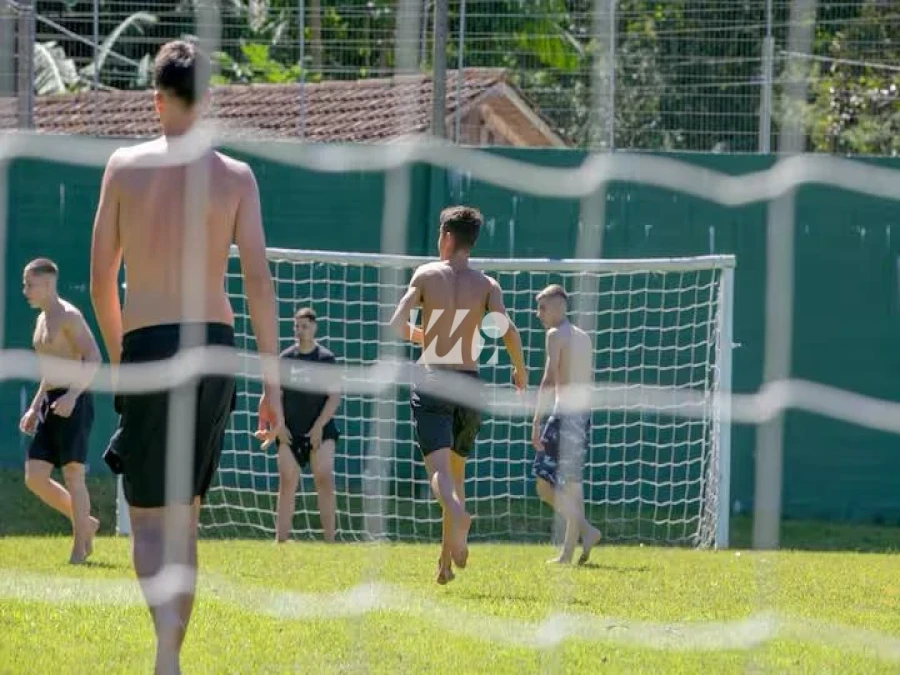 Sítio em Vargem Grande, Águas Mornas. 5 quartos, 200m². Imagem 6 de 21