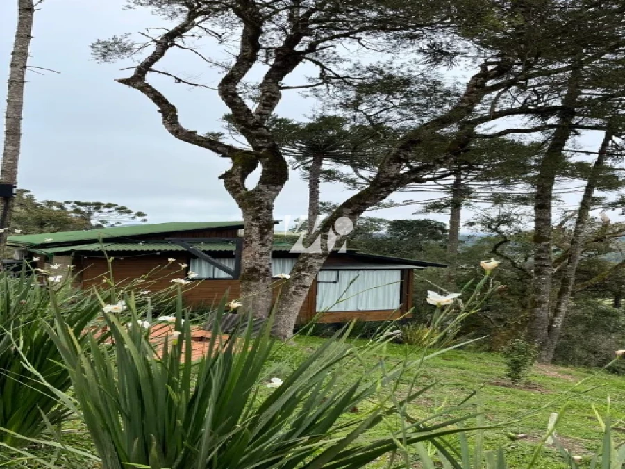 Sítio em Águas Brancas, Urubici. 3 quartos, 130m². Imagem 4 de 24