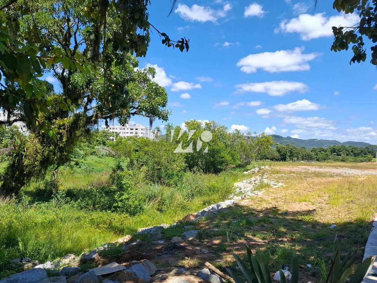 Terreno em Caminho Novo, Palhoça. 0 quartos, 0m². Imagem 6 de 7