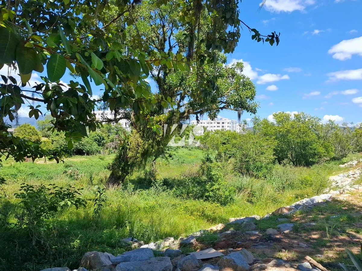 Terreno em Caminho Novo, Palhoça. 0 quartos, 0m². Imagem 7 de 7