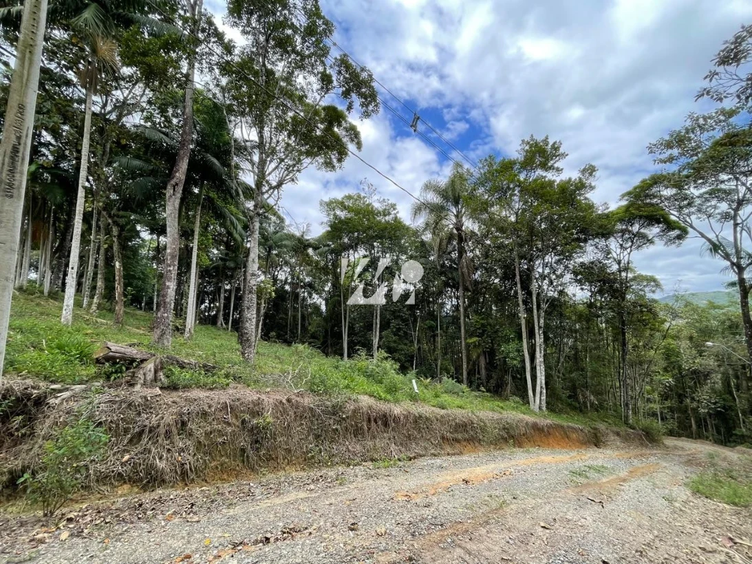 Terreno em Varginha, Santo Amaro da Imperatriz. 0 quartos, 0m². Imagem 4 de 12