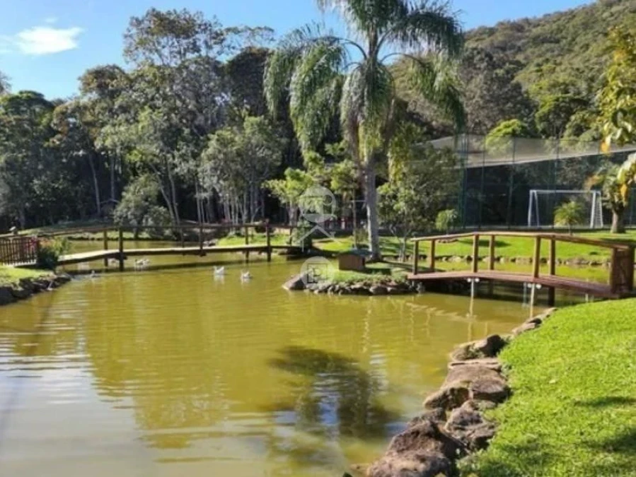 Terreno em Varginha, Santo Amaro da Imperatriz. 0 quartos, 0m². Imagem 1 de 12