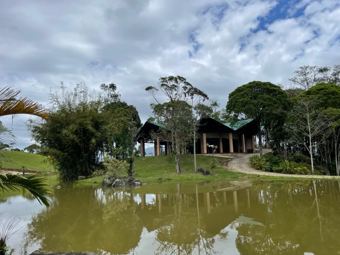 Terreno em Varginha, Santo Amaro da Imperatriz. 0 quartos, 0m². Imagem 7 de 12