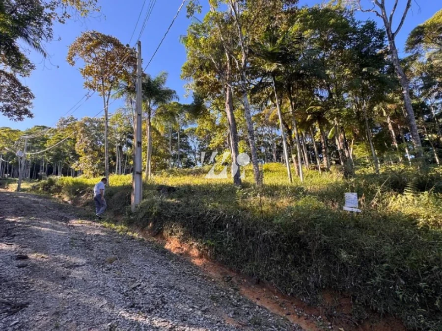 Terreno em Santo Amaro, Santo Amaro da Imperatriz. 0 quartos, 0m². Imagem 6 de 6