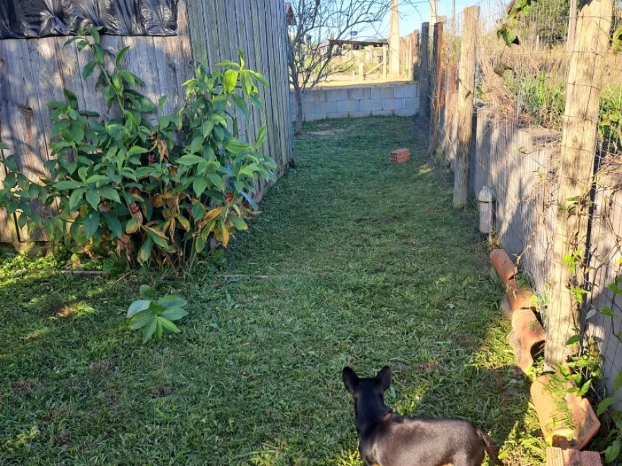 Terreno em Imbituba, Imbituba. 0 quartos, 0m². Imagem 3 de 5