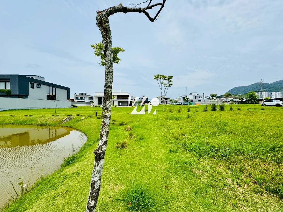 Terreno em Pedra Branca, Palhoça. 0 quartos, 300m². Imagem 9 de 17