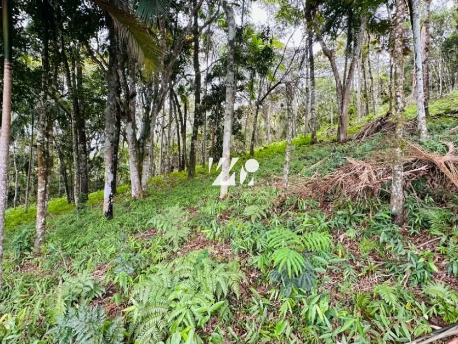 Terreno em Varginha, Santo Amaro. 0 quartos, 0m². Imagem 1 de 19