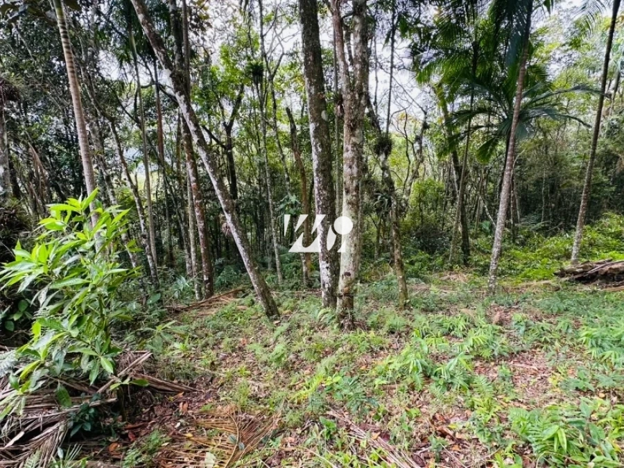 Terreno em Varginha, Santo Amaro. 0 quartos, 0m². Imagem 12 de 19