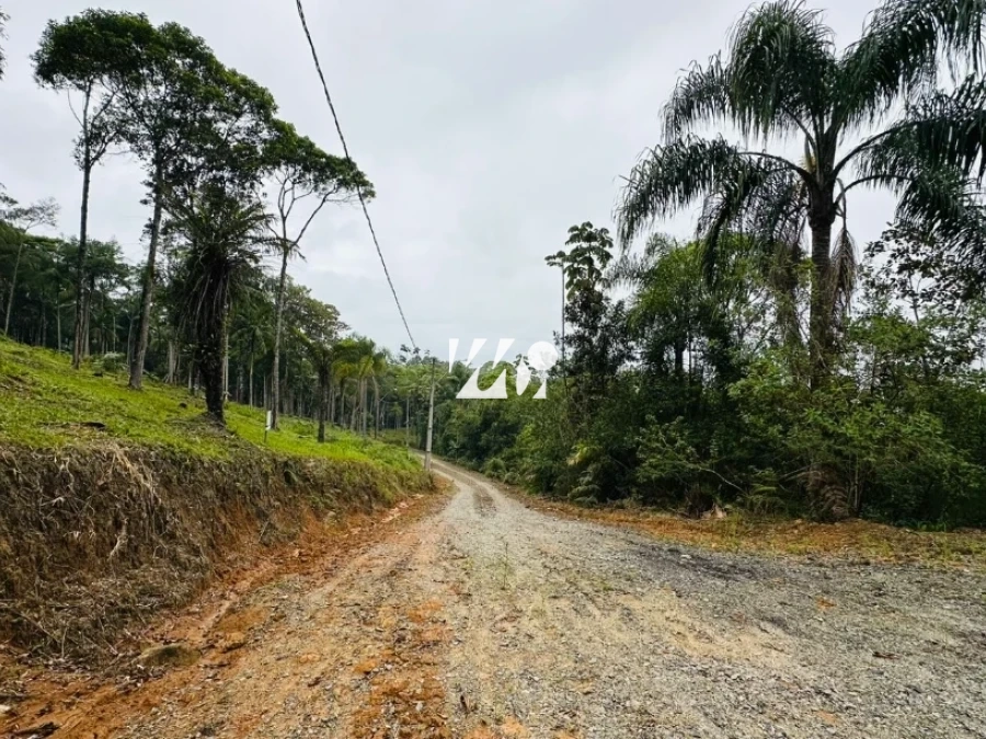 Terreno em Varginha, Santo Amaro. 0 quartos, 0m². Imagem 15 de 19