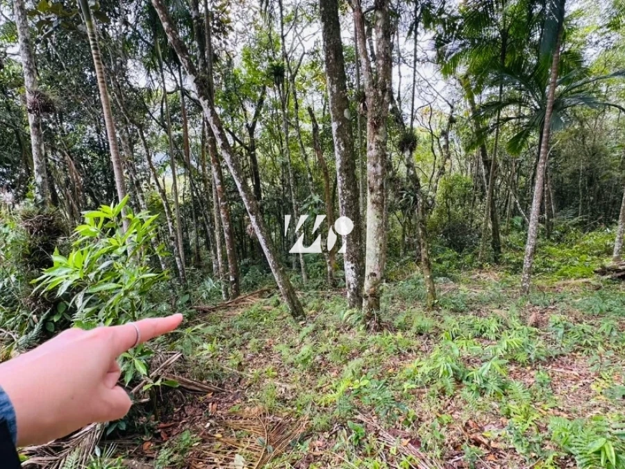 Terreno em Varginha, Santo Amaro. 0 quartos, 0m². Imagem 3 de 19