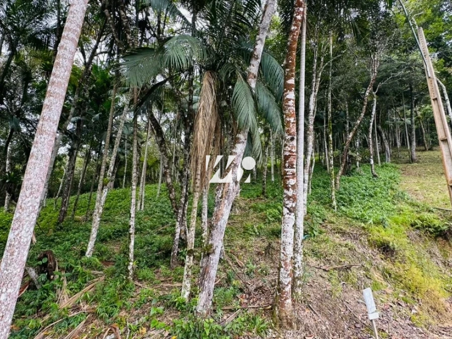 Terreno em Varginha, Santo Amaro. 0 quartos, 0m². Imagem 5 de 19