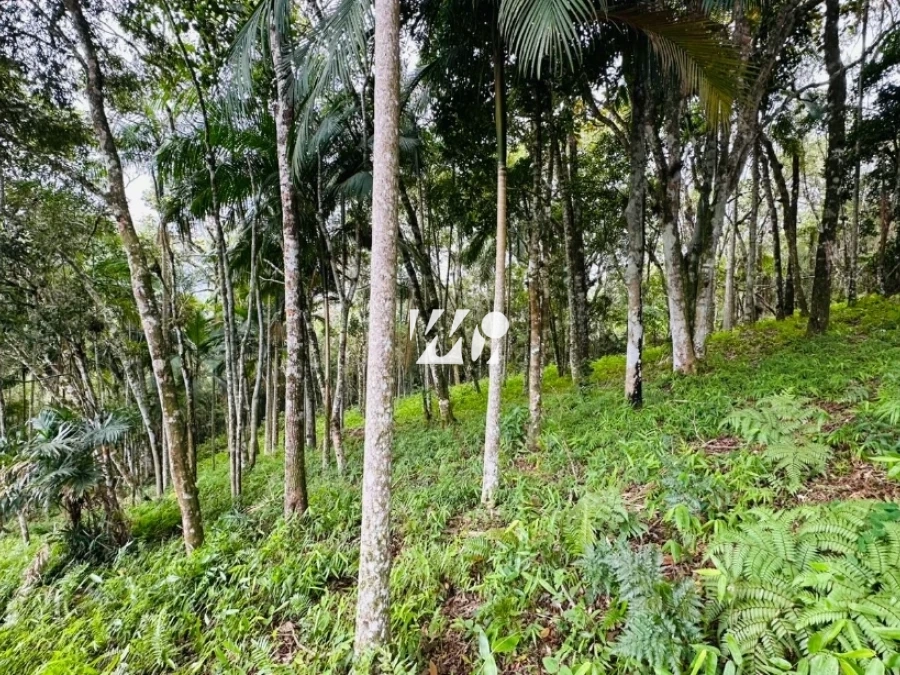 Terreno em Varginha, Santo Amaro. 0 quartos, 0m². Imagem 7 de 19