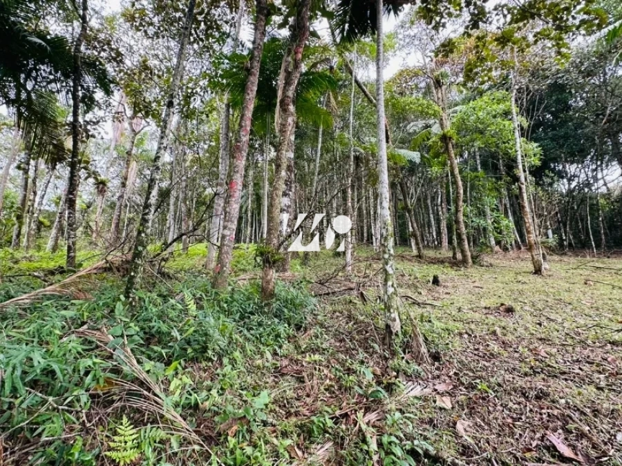 Terreno em Varginha, Santo Amaro. 0 quartos, 0m². Imagem 8 de 19