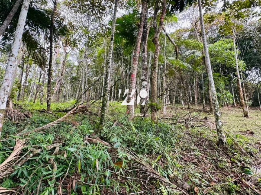 Terreno em Varginha, Santo Amaro. 0 quartos, 0m². Imagem 9 de 19
