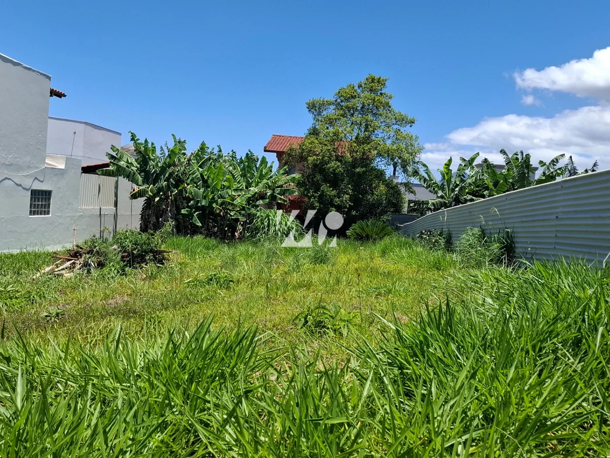 Terreno em Pedra Branca, Palhoça. 0 quartos, 0m². Imagem 7 de 10