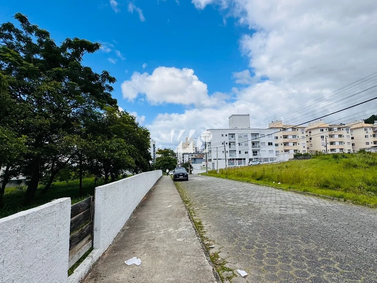Terreno em Areias, São José. 0 quartos, 0m². Imagem 4 de 5