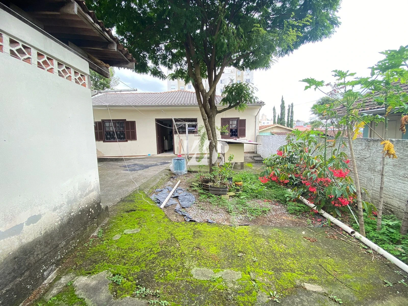 Casa em Praia Comprida, São José. 5 quartos, 300m². Imagem 8 de 8