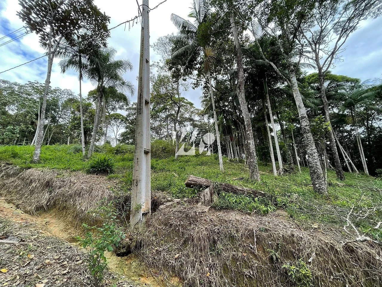 Terreno em Centro, Santo Amaro da Imperatriz. 0 quartos, 1631m². Imagem 3 de 6