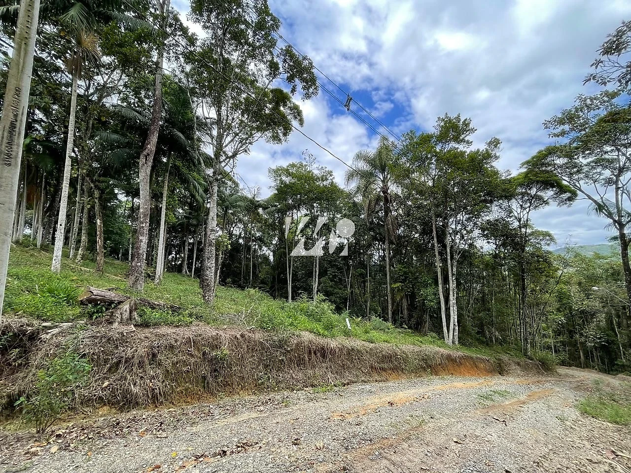 Terreno em Centro, Santo Amaro da Imperatriz. 0 quartos, 1631m². Imagem 4 de 6