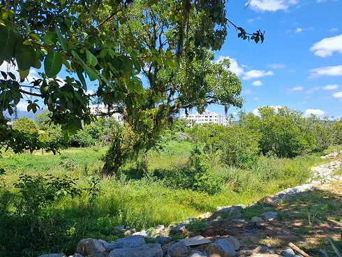 Terreno com 0 quartos em Caminho Novo, Palhoça