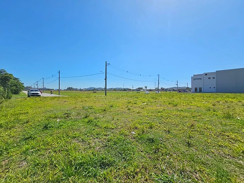 Terreno com 0 quartos em Pedra Branca, São José