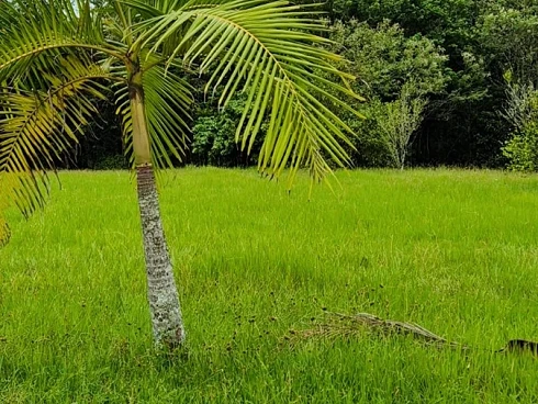 Terreno em Sul do Rio, Santo Amaro da Imperatriz
