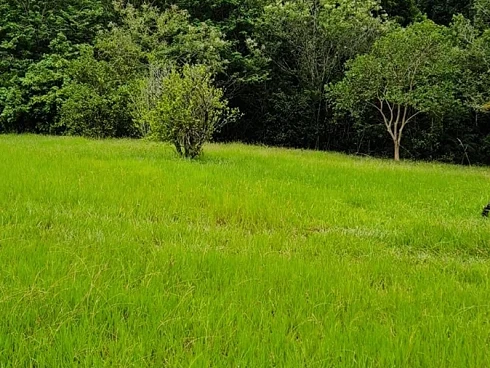 Terreno em Sul do Rio, Santo Amaro da Imperatriz