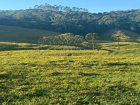 Terreno em Vila Doze, Antõnio Carlos