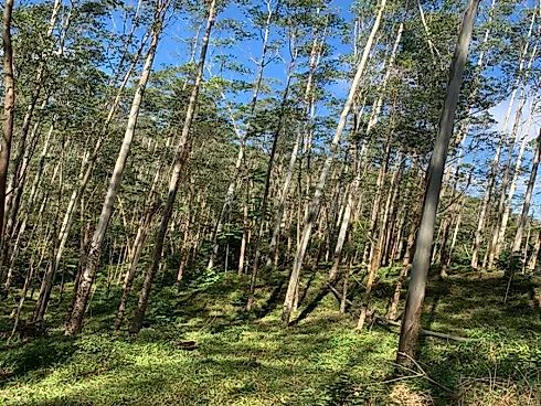 Terreno em Vila Doze, Antõnio Carlos