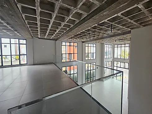 Escritório/Sala Comercial - 288m², Pedra Branca - Foto 12