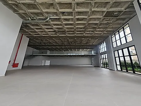 Escritório/Sala Comercial - 288m², Pedra Branca - Foto 8