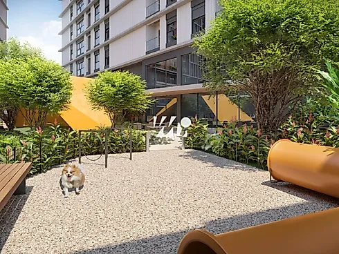 Thumbnail 13