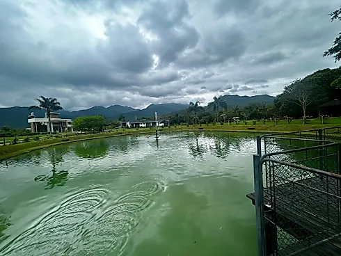 Terreno no Quinta dos Guimarães - Sul do Rio - Foto 8